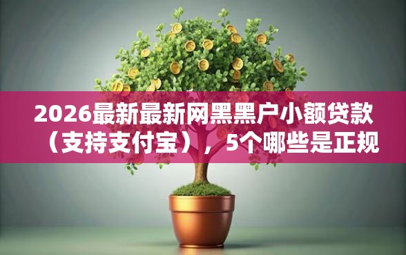 2026最新最新网黑黑户小额贷款（支持支付宝），5个哪些是正规网贷平台无私分享