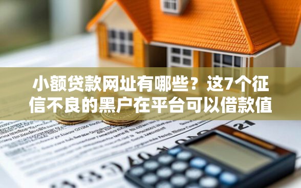 小额贷款网址有哪些？这7个征信不良的黑户在平台可以借款值得一试