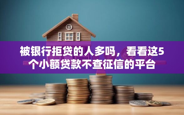被银行拒贷的人多吗，看看这5个小额贷款不查征信的平台