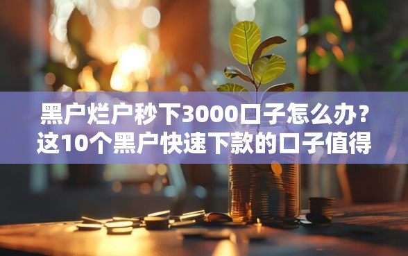 黑户烂户秒下3000口子怎么办？这10个黑户快速下款的口子值得一试