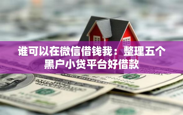 谁可以在微信借钱我：整理五个黑户小贷平台好借款