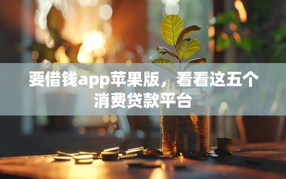 要借钱app苹果版，看看这五个消费贷款平台