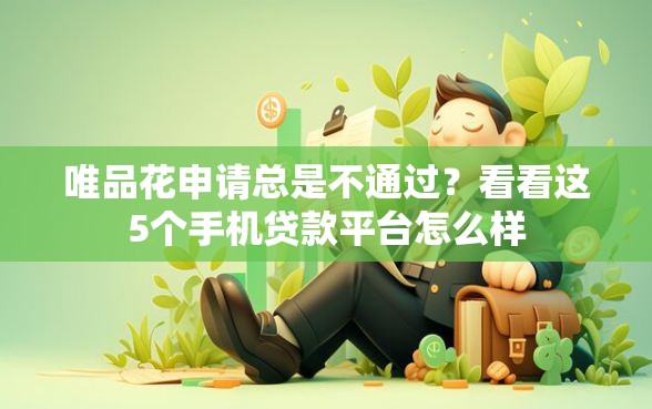 唯品花申请总是不通过？看看这5个手机贷款平台怎么样