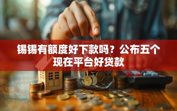 锡锡有额度好下款吗？公布五个现在平台好贷款