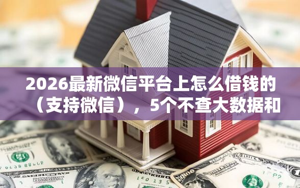 2026最新微信平台上怎么借钱的（支持微信），5个不查大数据和征信的贷款平台无私分享