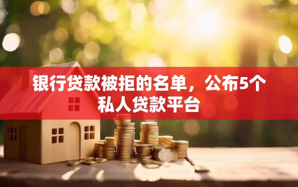 银行贷款被拒的名单，公布5个私人贷款平台
