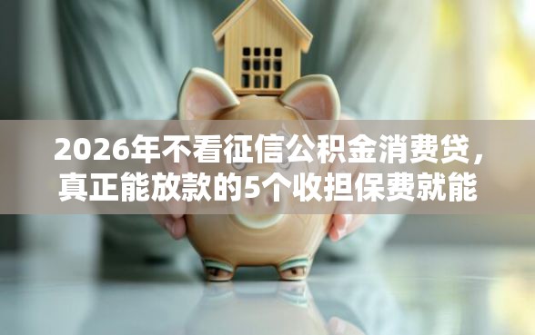 2026年不看征信公积金消费贷，真正能放款的5个收担保费就能下款的口子推荐