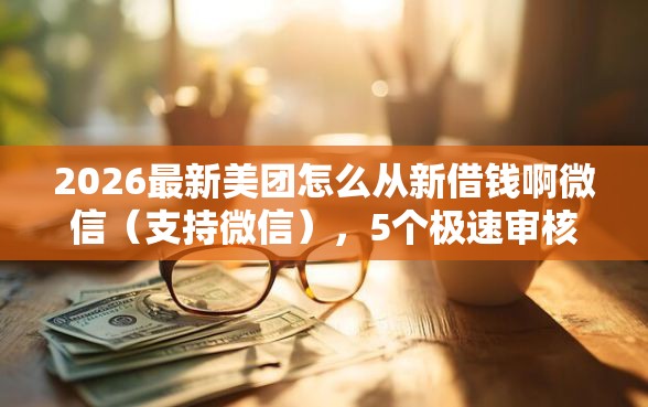 2026最新美团怎么从新借钱啊微信（支持微信），5个极速审核的网贷口子无私分享