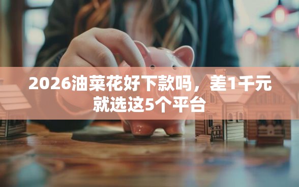 2026油菜花好下款吗，差1千元就选这5个平台