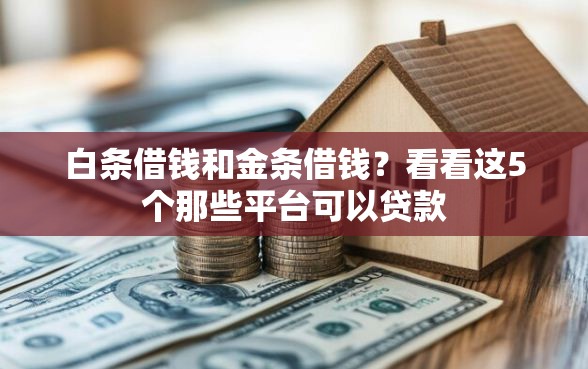 白条借钱和金条借钱？看看这5个那些平台可以贷款