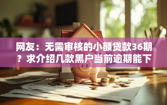 网友：无需审核的小额贷款36期？求介绍几款黑户当前逾期能下款的口子