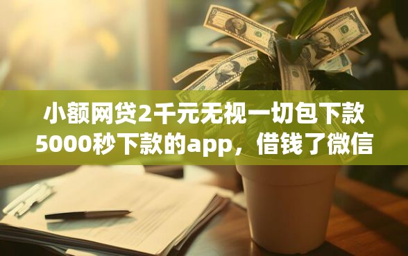 小额网贷2千元无视一切包下款5000秒下款的app，借钱了微信被删了的8个平台介绍