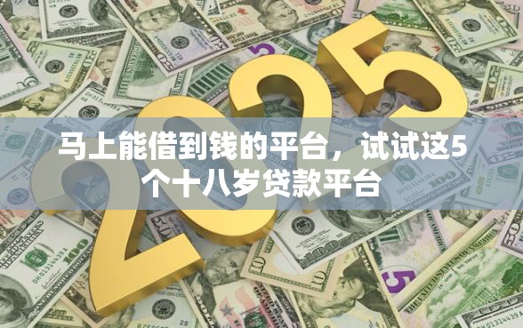 马上能借到钱的平台，试试这5个十八岁贷款平台