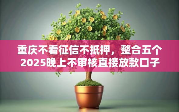 重庆不看征信不抵押，整合五个2025晚上不审核直接放款口子