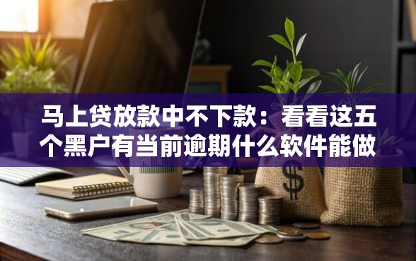 马上贷放款中不下款：看看这五个黑户有当前逾期什么软件能做贷款