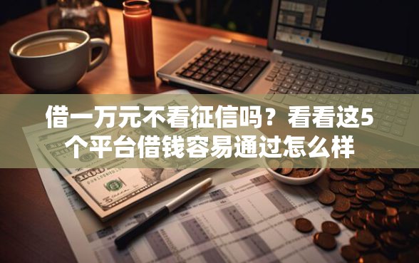 借一万元不看征信吗？看看这5个平台借钱容易通过怎么样