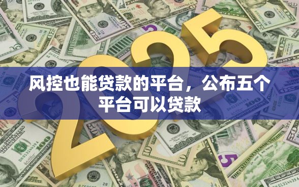 风控也能贷款的平台，公布五个平台可以贷款