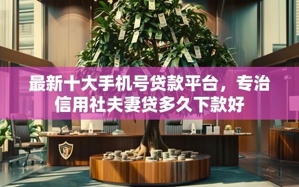 最新十大手机号贷款平台，专治信用社夫妻贷多久下款好