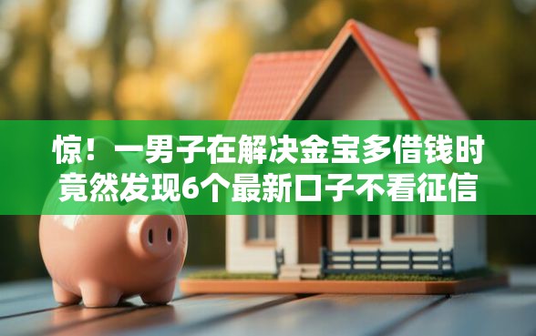 惊！一男子在解决金宝多借钱时竟然发现6个最新口子不看征信的，事后分享了出来
