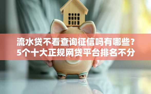 流水贷不看查询征信吗有哪些？5个十大正规网贷平台排名不分先后推荐给你