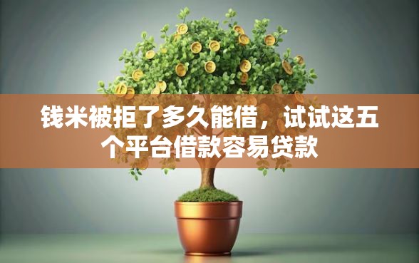 钱米被拒了多久能借,试试这五个平台借款容易贷款 钱米被拒了多久能借,试试这五个平台借款容易贷款