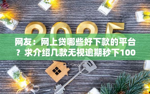 网友：网上贷哪些好下款的平台？求介绍几款无视逾期秒下100%款的口子