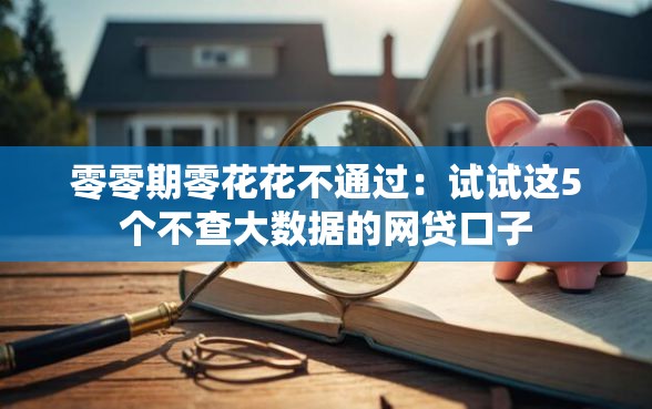 零零期零花花不通过：试试这5个不查大数据的网贷口子