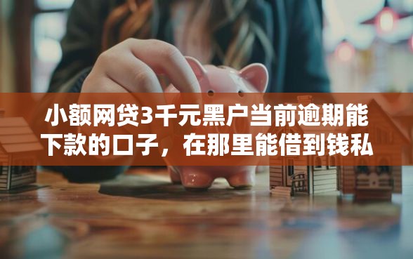 小额网贷3千元黑户当前逾期能下款的口子，在那里能借到钱私人贷款的8个平台介绍