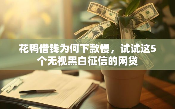 花鸭借钱为何下款慢，试试这5个无视黑白征信的网贷