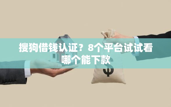 搜狗借钱认证？8个平台试试看哪个能下款