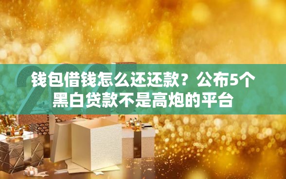 钱包借钱怎么还还款？公布5个黑白贷款不是高炮的平台