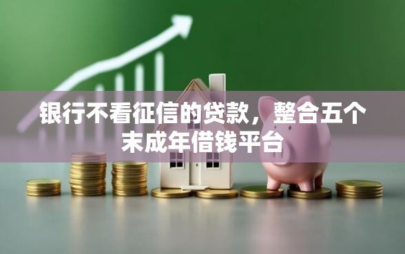 银行不看征信的贷款，整合五个末成年借钱平台