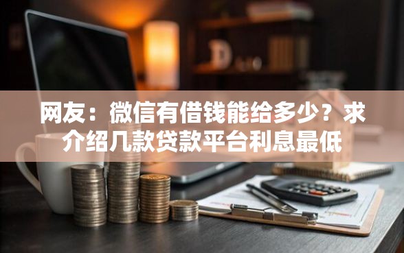 网友：微信有借钱能给多少？求介绍几款贷款平台利息最低