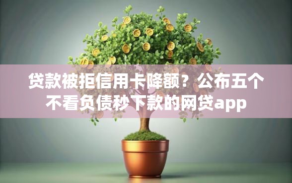 贷款被拒信用卡降额？公布五个不看负债秒下款的网贷app
