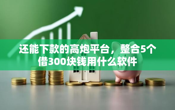 还能下款的高炮平台，整合5个借300块钱用什么软件