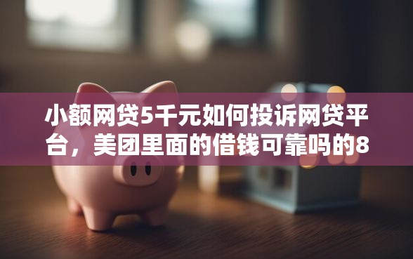 小额网贷5千元如何投诉网贷平台，美团里面的借钱可靠吗的8个平台介绍