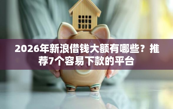 2026年新浪借钱大额有哪些？推荐7个容易下款的平台