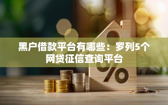 黑户借款平台有哪些：罗列5个网贷征信查询平台
