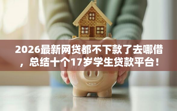 2026最新网贷都不下款了去哪借，总结十个17岁学生贷款平台！