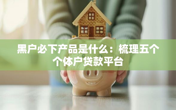 黑户必下产品是什么：梳理五个个体户贷款平台