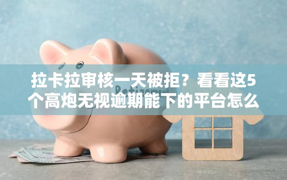 拉卡拉审核一天被拒？看看这5个高炮无视逾期能下的平台怎么样