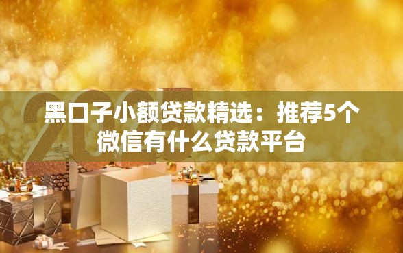 黑口子小额贷款精选：推荐5个微信有什么贷款平台