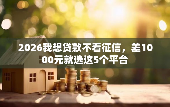 2026我想贷款不看征信，差1000元就选这5个平台