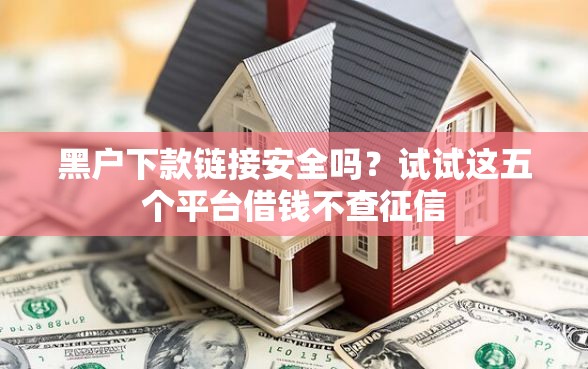 黑户下款链接安全吗？试试这五个平台借钱不查征信