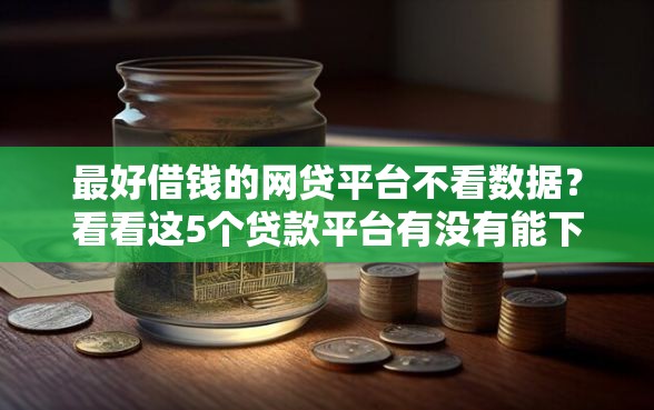 最好借钱的网贷平台不看数据？看看这5个贷款平台有没有能下款的