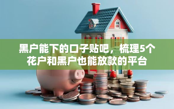 黑户能下的口子贴吧，梳理5个花户和黑户也能放款的平台