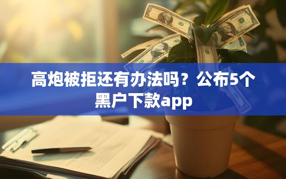 高炮被拒还有办法吗？公布5个黑户下款app