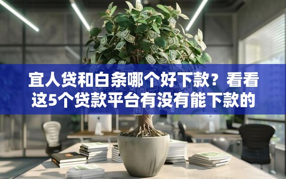 宜人贷和白条哪个好下款？看看这5个贷款平台有没有能下款的
