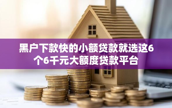黑户下款快的小额贷款就选这6个6千元大额度贷款平台