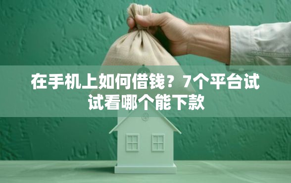 在手机上如何借钱？7个平台试试看哪个能下款